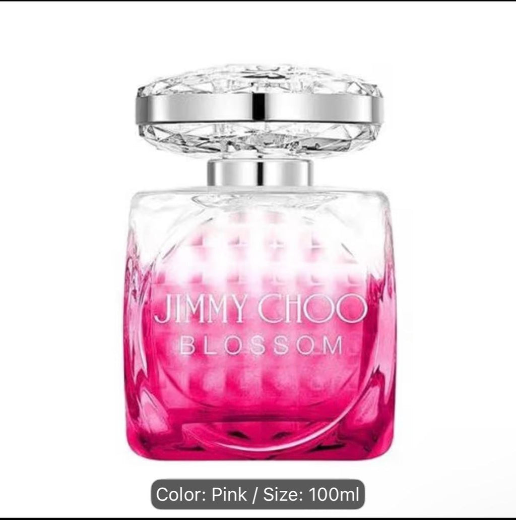 Jimmy Choo Eau de Parfum spray 100ml