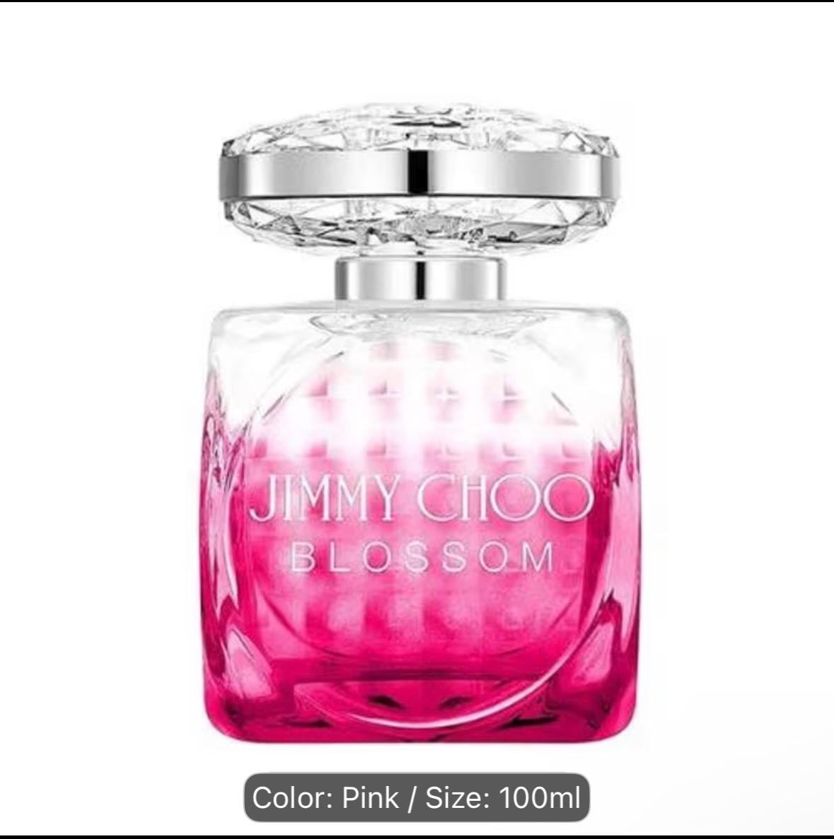 Jimmy Choo Eau de Parfum spray 100ml
